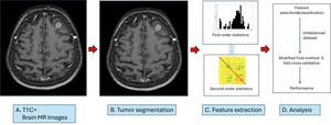 Figure from article: Can radiomics in brain...