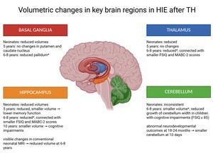 Figure from article: Volumetric differences in...