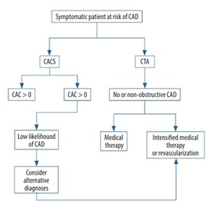 Figure from article: Diagnostic and prognostic...