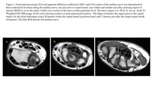 Figure from article: An observational pilot...