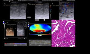 Figure from article: An observational study of...